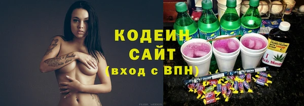 дурь Вяземский