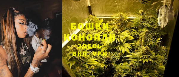 дурь Вяземский