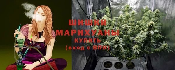 дурь Вяземский